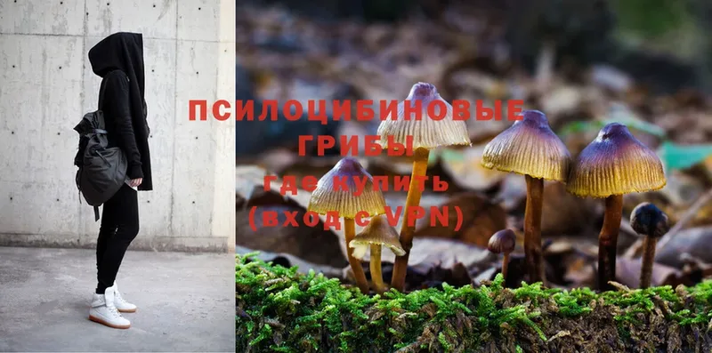 Галлюциногенные грибы MAGIC MUSHROOMS  Иркутск 